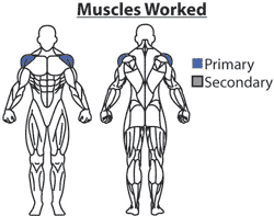 Shoulder Exercises - Palm-up Laterals